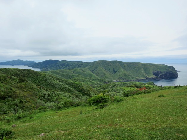 IMG_5868 (2)