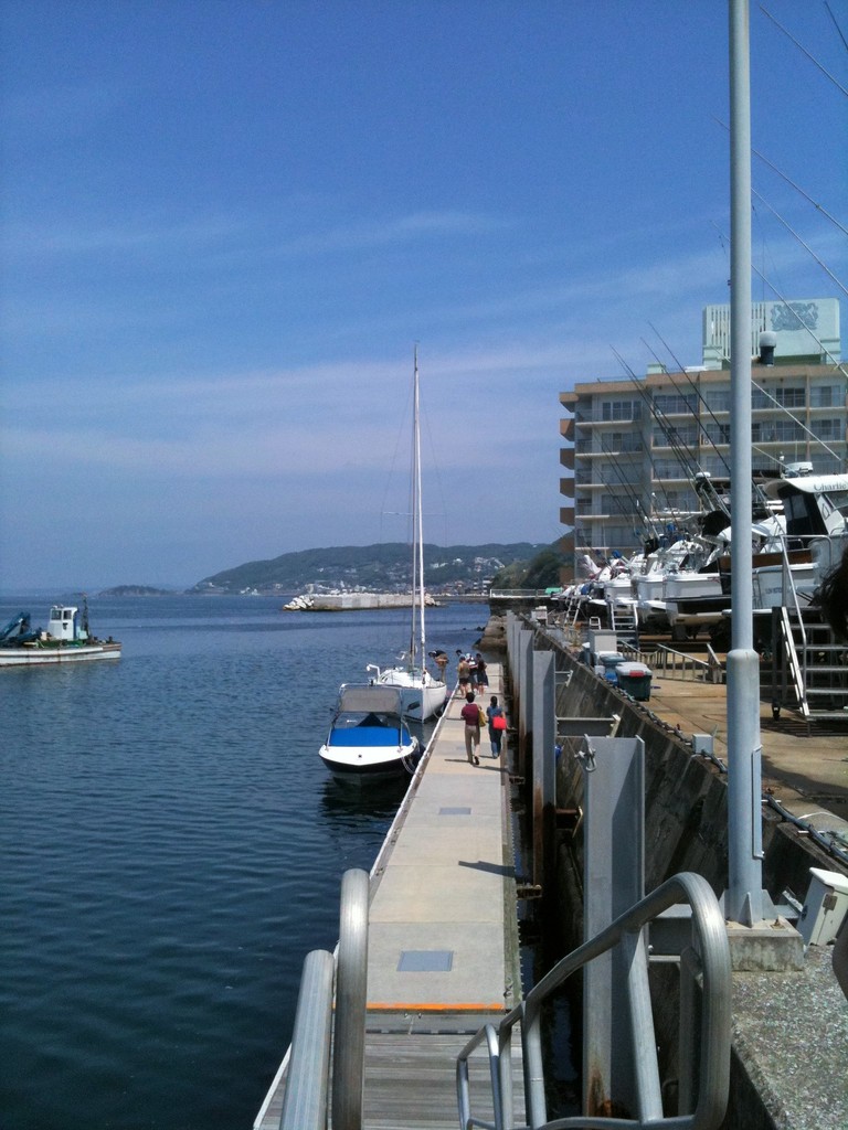 マリーナ　船　ベル ヨットに乗る＠湘南サニーサイドマリーナ（佐島）・神奈川