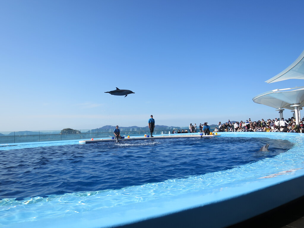 四国水族館 宇多津 香川 津田千枝 ブログ