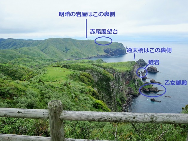 IMG_5881 (2)v2