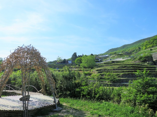 IMG_6292 (2)