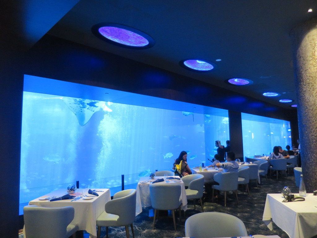 オーシャン レストラン バイ キャット コーラ セントーサ シンガポール 津田千枝 ブログ