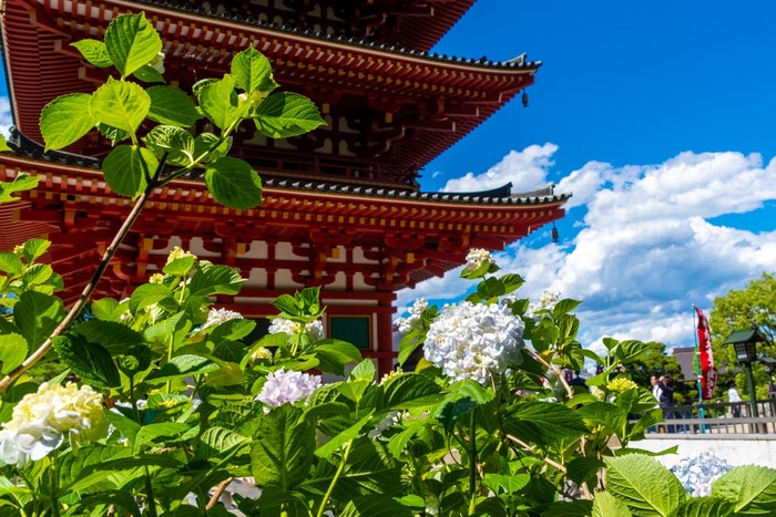 高幡不動尊201906
