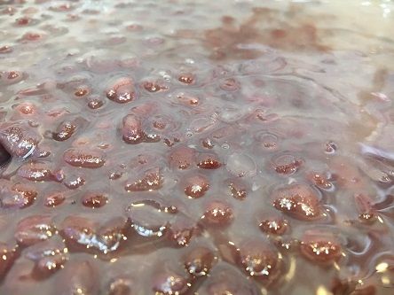 かき氷用の餡小