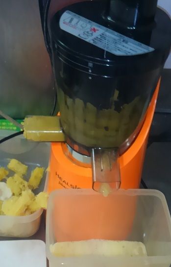 夏みかんスロージューサー小