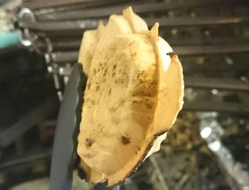 バリの薄さ