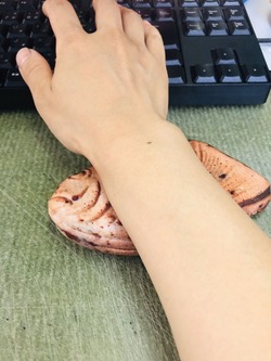 S__29237250