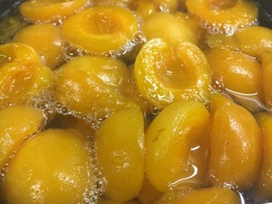 信州あんずシロップ漬け