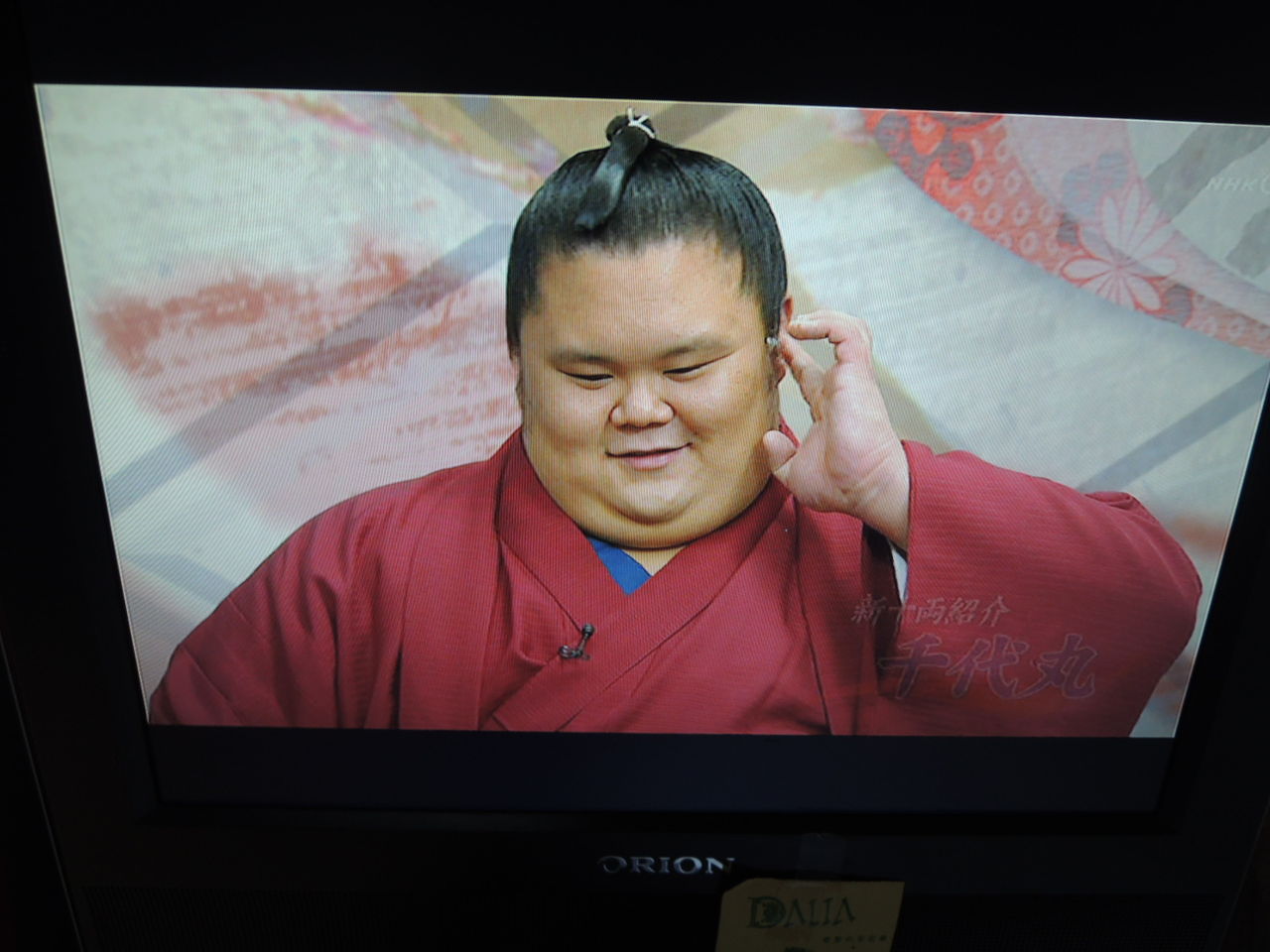 ２０１３年９月１９日 木 千代丸 木８写真館 相槌だけでイイから打って２ リサーチャーのどうでもイイ日々