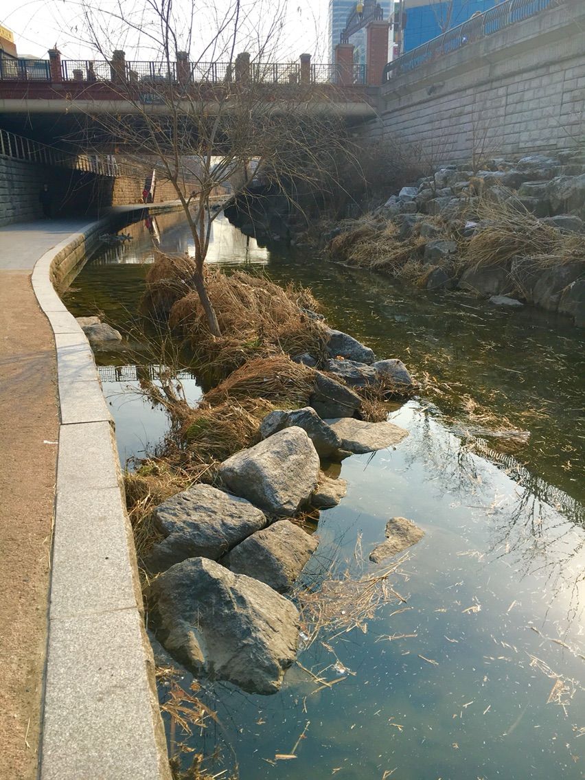 人工河川 清渓川 流水域と止水域 唯心所現 Ayaのmemo 人工河川 清渓川 流水域と止水域 唯心所現 Ayaのmemo