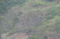 kadaruisou
