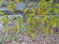 201212