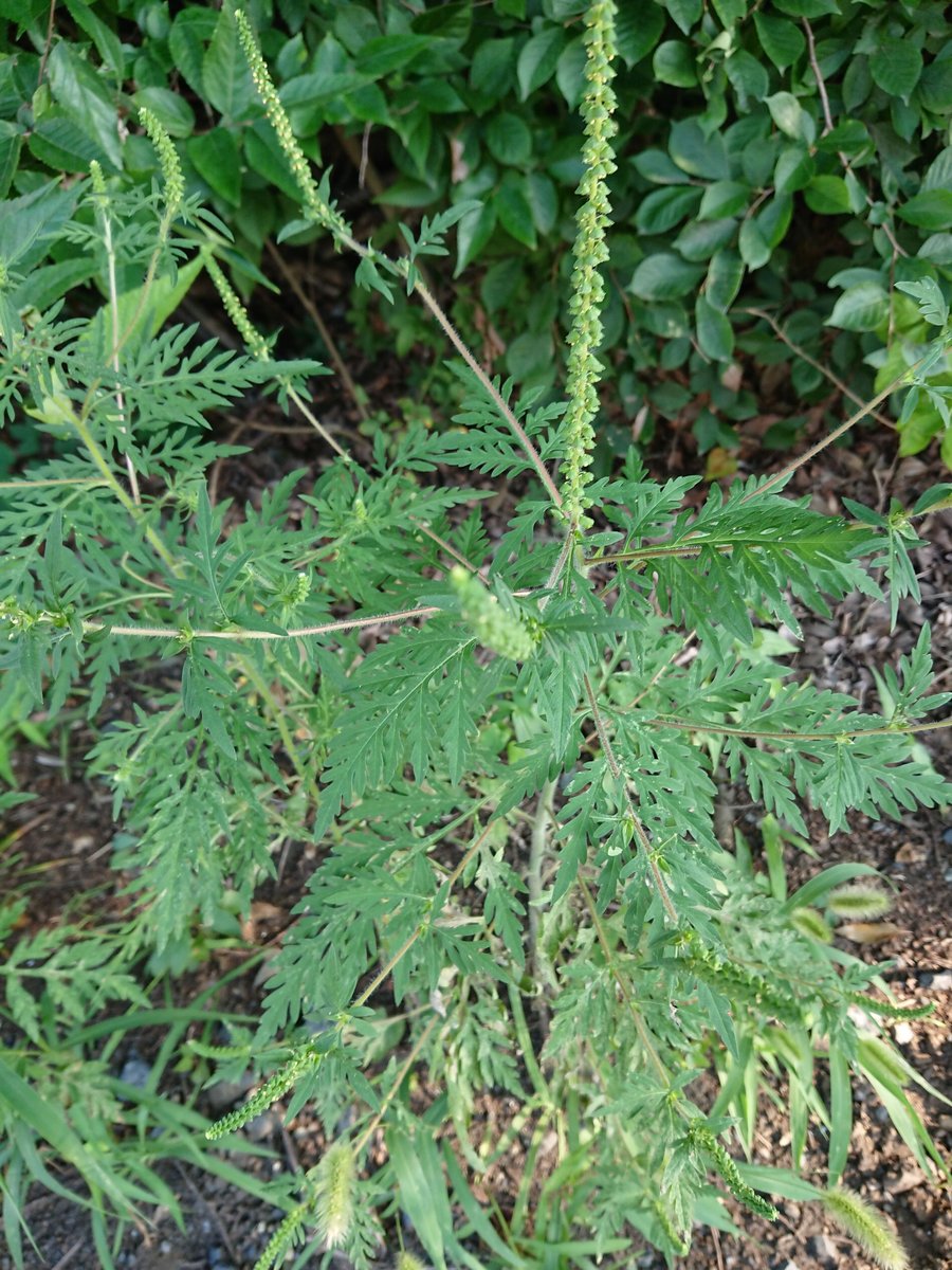 19年08月日 野遊びアルバム3