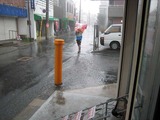 IMG_0541