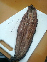 ウナギ炭火焼き