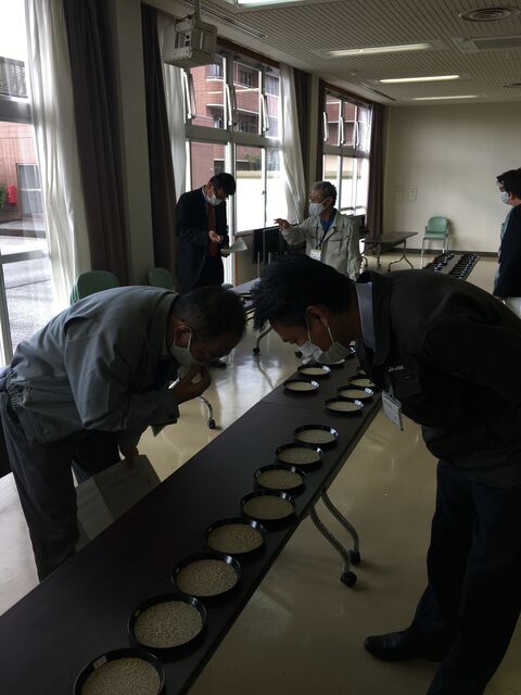 �̿�7 ��������