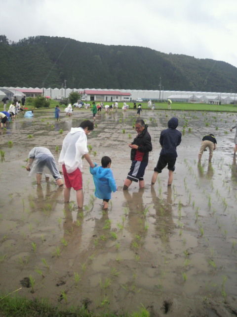 (9)田植え風景3