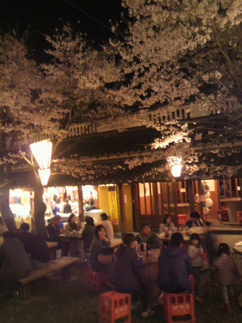 (18)����Ƚ�Ź
