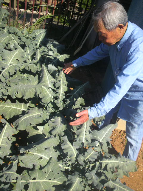(3)永田先生