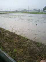 2010.6.15�Ŀ�����λ