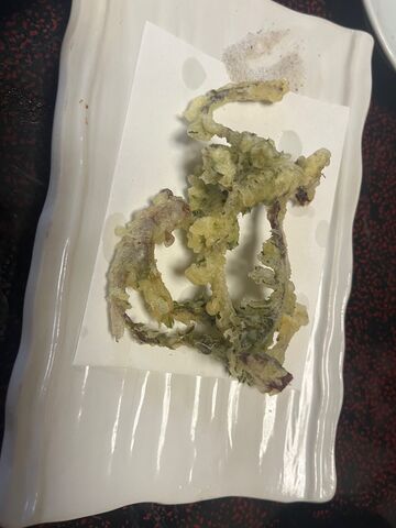 �̿�11  �ϥޥ�����ŷ�פ�