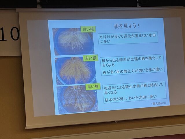 �̿�29  ���򸫤褦