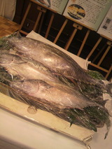 2010.12.1�ޥ���