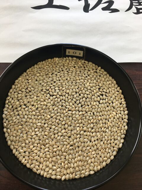 �̿�13 �ں���3