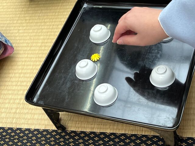 写真13 菊の花