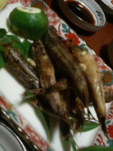 2008.9.9��ҥ���