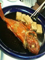 ����������ʪ