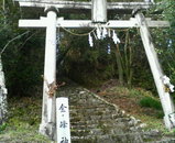 �������������