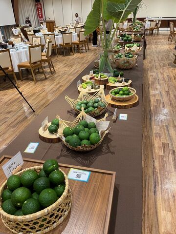 写真2 酢みかんズラリ2