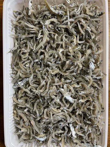 �̿�7 ���������㤳4