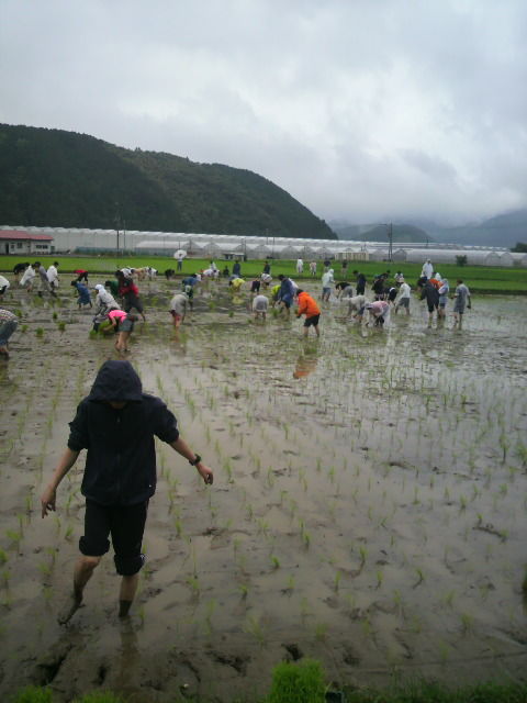 (11)田植え風景5