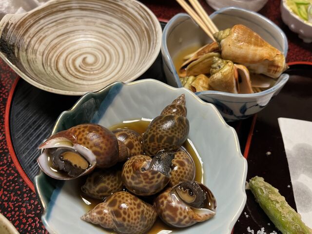 写真15 チャンバラ貝