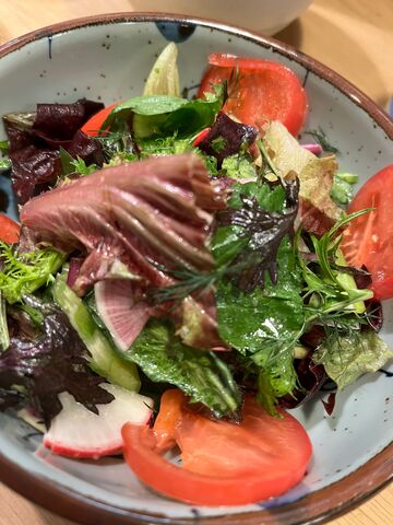 写真13 ファームベジコの野菜サラダ