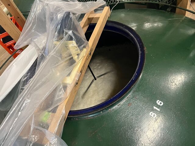 ¼Ì¿¿7 ¤â¤í¤ß