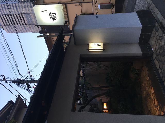 写真18 梢