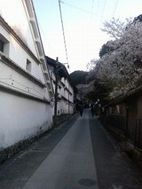 白壁の蔵と桜