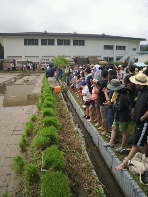 �Ŀ�����������ľ��