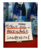 �����POP