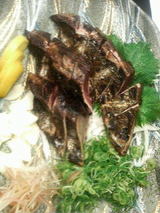 2009.5.15鰹の塩タタキ