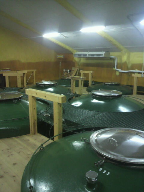 4����߻Ź���¢