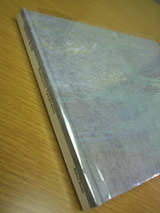�ⶶ��Ƿ�̿�����NIYODO BLUE��2.jpg