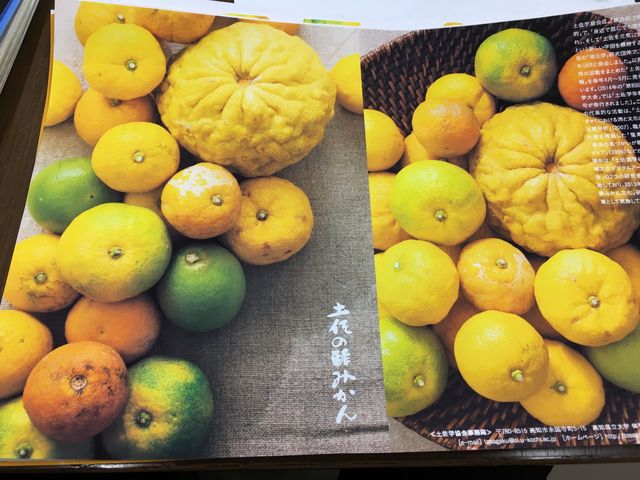 2019.9.20写真4 酢みかんパンフ原稿