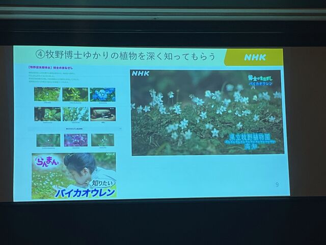 �̿�13  �椫��ο�ʪ