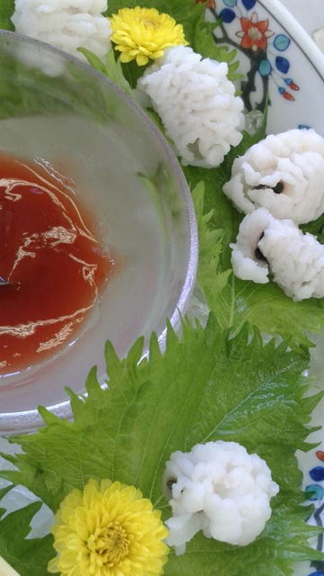 (5)�ϥ�������