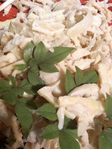 ���ɤο�̣���¤�