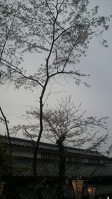 2010.4.6��